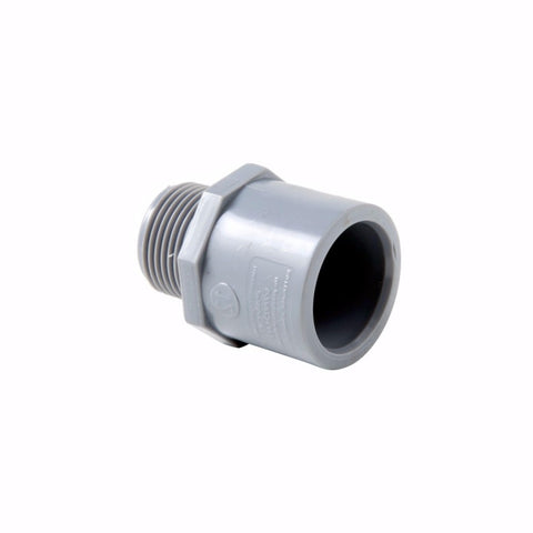 Adaptador pvc c/r 3/4" - Pavco