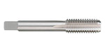 Macho d/roscar M12 - Alpen