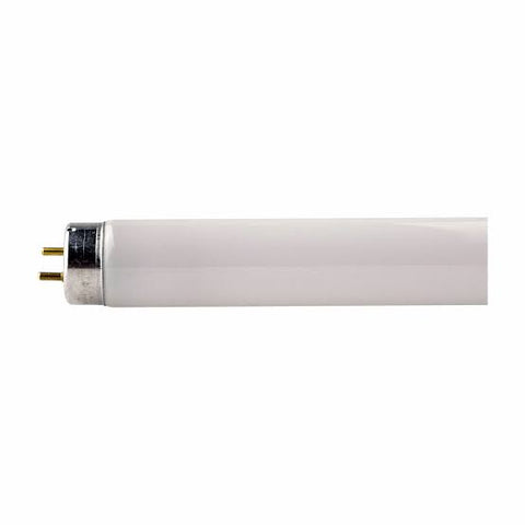 Tubo recto 30W /765 - Philips